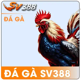 imgi 157 e9748c11 c80c 4bd8 b135 f318a18605dc